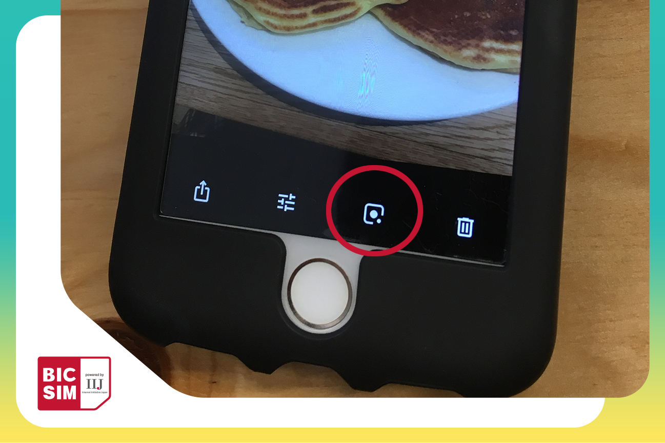 Iphoneでもgoogleレンズが使える 思わず首をかしげる結果から楽しい気持ちになる使い方まで Googleレンズの得意 不得意を徹底検証 Bic Sim コラム ビックカメラの格安sim Bic Sim ビックシム