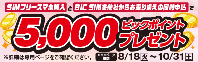 BIC SIMスマホセットキャンペーン