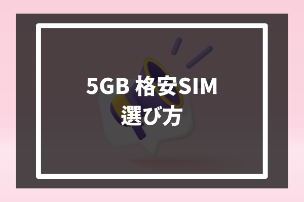 5GB 格安SIM 選び方