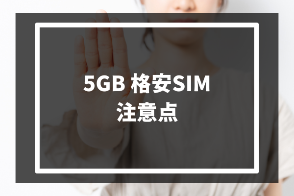 5GB 格安SIM 注意点