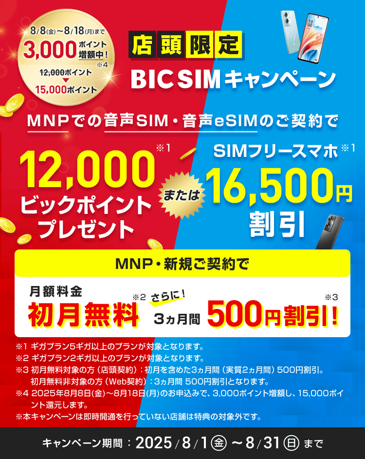 【店頭申し込み限定】BIC SIMキャンペーン