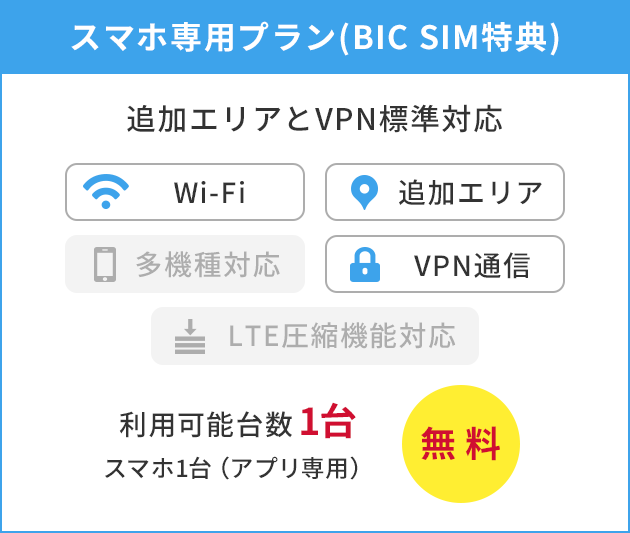 スマホ専用プラン(BIC SIM特典)