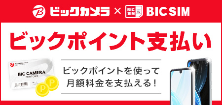 ビックポイント利用サービス